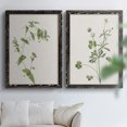 thumbnail image 6 of Wispy Botanical I - Premium Framed Canvas 2 Piece Set - Ready to Hang, 6 of 7