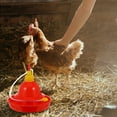 thumbnail image 2 of Mobutofu Duck Water Feeder Plastic Square Red for Outdoor Use 1Pack, 2 of 5