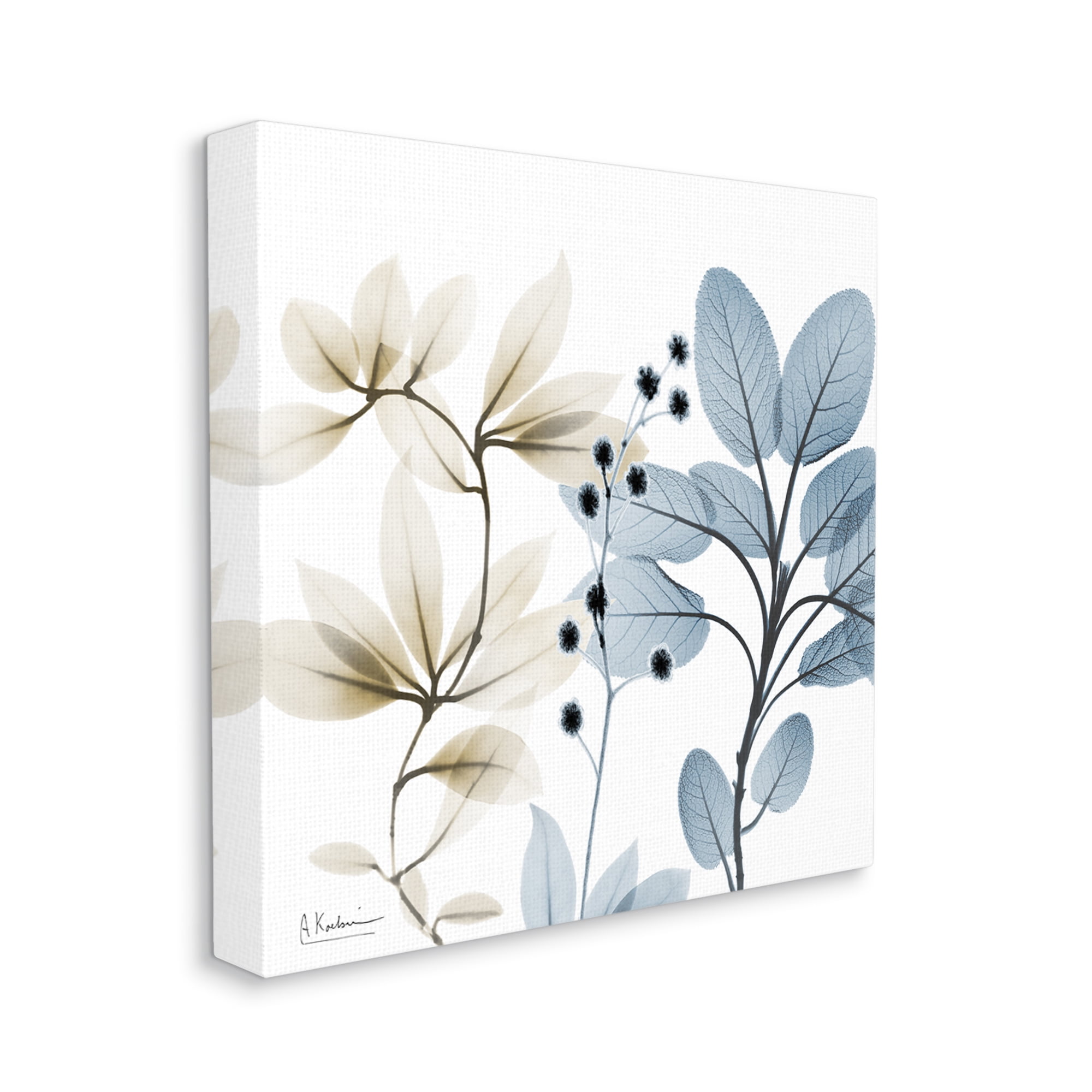 Stupell Industries Modern Herb Sprigs Botanical & Floral Painting Gallery Wrapped Canvas Print Wall Art, 17 x 17