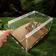 thumbnail image 1 of WASHWEPE Terrario Transparente Para Reptiles Con Ideal Y, 1 of 7