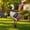 Multicolor2#, variant on ChicYu Patriotic Metal Rooster Yard Stake,12 Inch Independence Day Outdoor Garden Lawn Ornament,adorno gallo metal patriótico estaca jardín día independencia 12 pulgadas