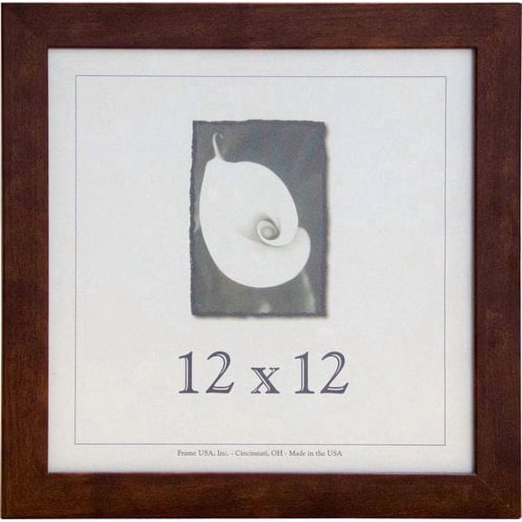 Frame USA Corporate Picture Frame (12 x 12)