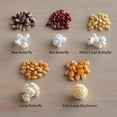 thumbnail image 3 of Reist 50 lb. HI-POP Organic Butterfly Popcorn Kernels, 3 of 3
