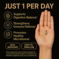 thumbnail image 4 of Grow Deep Immune Probiotic Supplement with FOS, 60 Billion CFU, 30 Capsules, 4 of 10