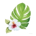 thumbnail image 2 of Gango Home Decor Tropical Treasures of the Tropics VIII, XI, & XI by Kathleen Parr McKenna (Ready to Hang); Three 12x12in Brown Framed Prints, 2 of 6