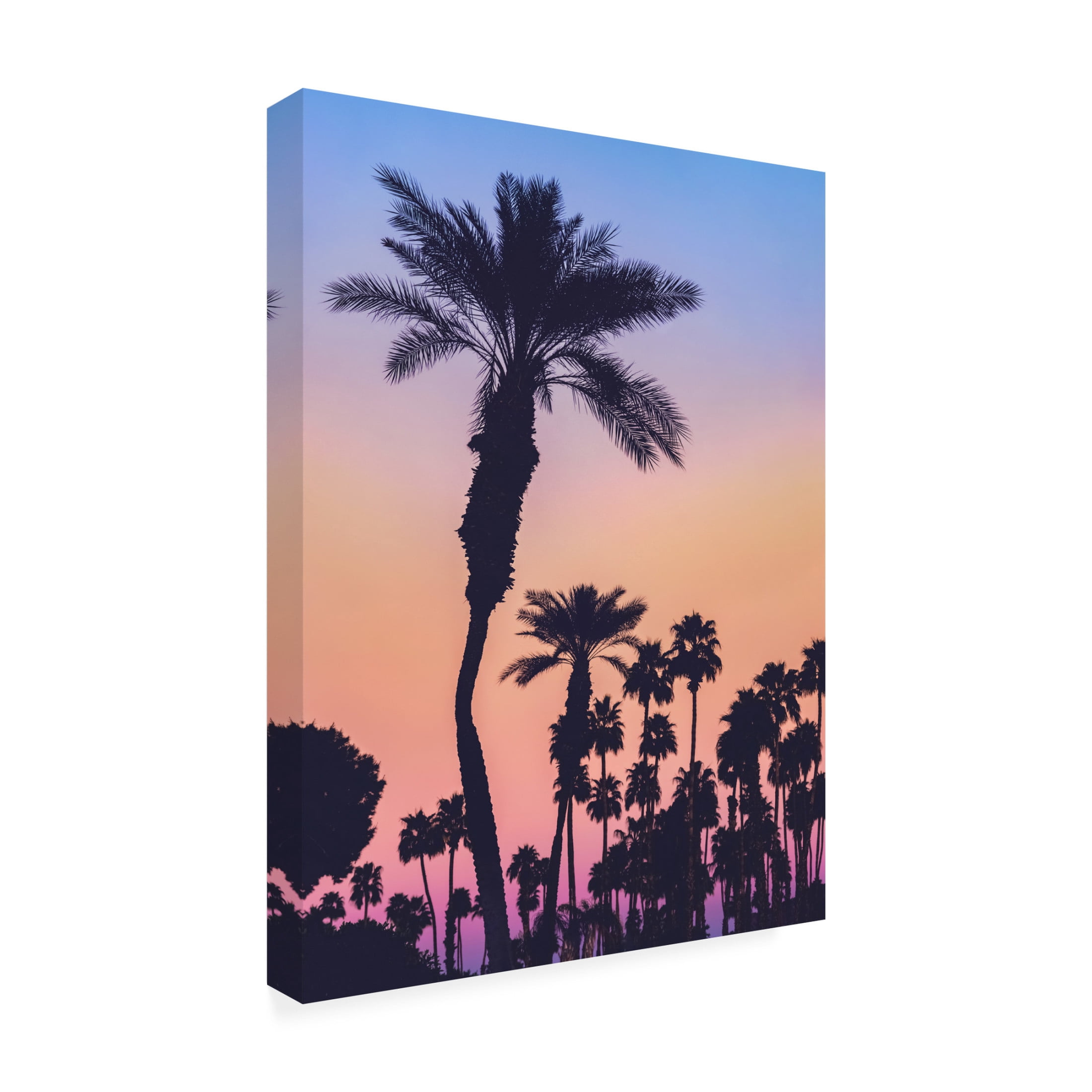 Trademark Fine Art Tim Mossholder Palms At Sunset Canvas Wall Art