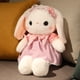 thumbnail image 2 of Cute Rabbit Plush Doll / Children Doll / Girl's Birthday Gift / Spot Dress Bow Little White Rabbit Princess zhangyuxiang LED, 2 of 2