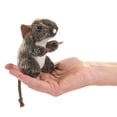 thumbnail image 1 of Ratón de campo Finger Puppet Folkmanis, tamaño pequeño, color marrón, 1 of 1