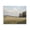 Cloudy Summer Meadow Landscape, variant on Stupell Industries Traditional Journey Through Wildflowers in Meadow Canvas Art, 20 x 16, by Creative Studio