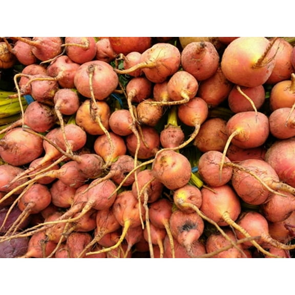 Detroit Golden Beet Seeds/ Annual/ Full Sun/ 570 Seeds 1/4 oz/ Zellajake Farm and Garden - B10