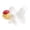 003, variant on Win s Way Realistic Fish Figurine with Sturdy Base, Elegant Ocean Desktop Ornament, Nautical Sculpture Home Decorative Model for Living Room Entryway Bathroom