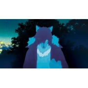 Wolf Children (Blu-ray + DVD), Funimation Prod, Anime