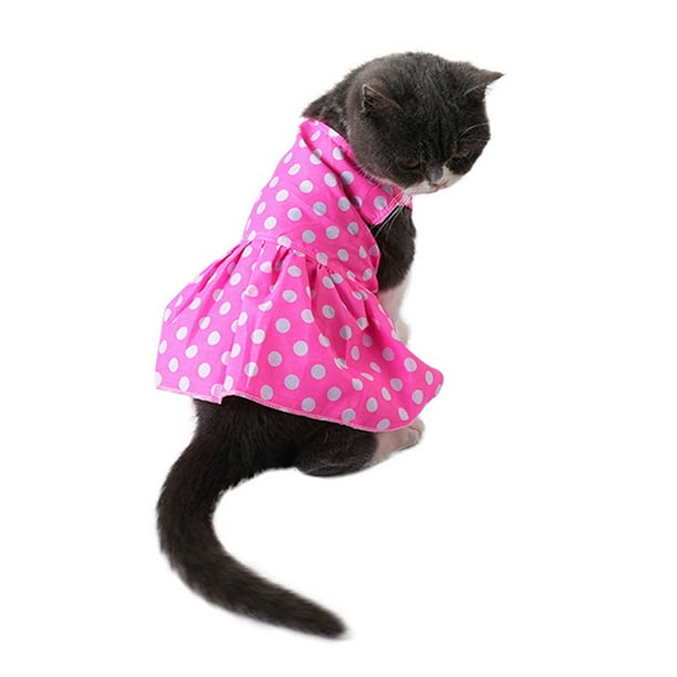 Cat Dress
