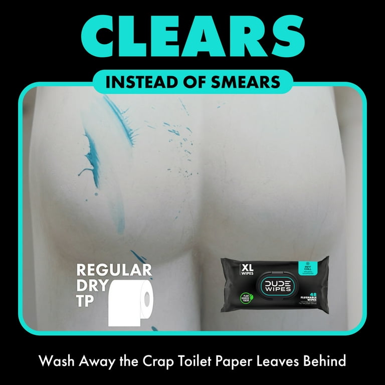 Dude Wipes Extra Large Mint Chill Flushable Wipes 3 - 48 Wipe Packs