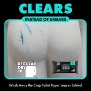 DUDE Flushable Wipes, Extra Large Mint Chill Wet Wipes, 48 Count, 3 Pack (144 Total)