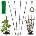thumbnail image 3 of 47.24inch Plant Trellis Rustproof Plant Growing Support Grid Metal Potted Plant Climbing Support Frame DIY Garden Plant, 3 of 9
