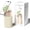 Off White, variant on 4-in-1 Portable Speaker, 15W Portable Speaker Charger, Dimmable Night Light with Phone Stand, for 17/16/15/14/13/12 Series AirPods Pro/3/2 Gifts for Women