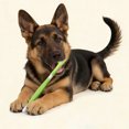 thumbnail image 5 of 3 Toothbrush for Dogs&Cats with Soft Easy Teeth Cleaning& Care for Medium&Large, 5 of 5