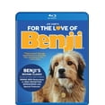 thumbnail image 4 of DISTRIBUTION SOLUTIONS pour LOVE BENJI (BR/DVD/DIGITAL) BRMV63316, 4 of 4