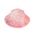thumbnail image 2 of STPToys Transparent Glitter Filled Seashell Shaped Slow Rebound Squeeze Gadget,Pink Soft Pressure Reducing Accessory Perfect For Birthday Gifts, Party Favors And General Reward Presents, 2 of 6