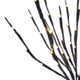 thumbnail image 4 of 20" Willow Branch-60 Warm White LEDs Light Decoration - N/A, 4 of 5