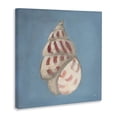 thumbnail image 2 of Stupell Industries Traditional Soft Sea Cowrie Shell Canvas Art, 17 x 17, by Julia Purinton, 2 of 7