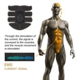 thumbnail image 2 of EMS-entrenador de Estimulador muscular inalámbrico, eléctrico, inteligente, entrenamiento Abdominal, pegatinas para pérdida de peso, cinturón adelgazante corporal, 2 of 7