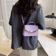 thumbnail image 4 of Bolso de textura para mujer, nuevo modelo 2025, estilo coreano, juvenil y elegante, bolso cruzado de moda, bolso pequeño de cadena, bolso de mano y hombro., 4 of 10