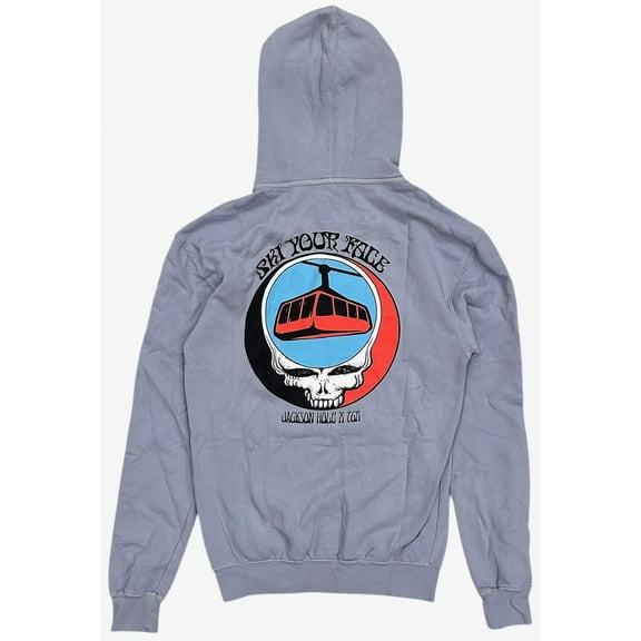 Teton Gravity Research Men's X Grateful Dead Jackson Hole Hoodie Sweatshirt (Small, Grey)