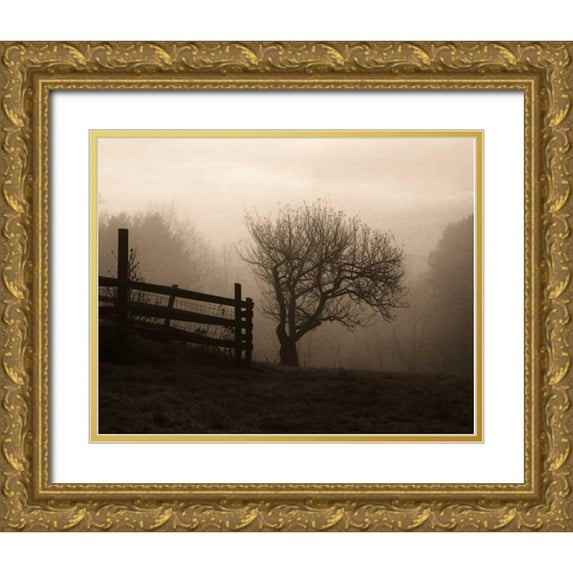 Triebert, Christine 18x15 Gold Ornate Wood Framed with Double Matting Museum Art Print Titled - Mountain Meadow Farm