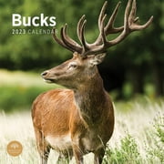 2023 Bucks Monthly Wall Calendar by Bright Day, 12 x 12 Inch, Beautiful Animals Deer