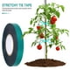thumbnail image 4 of 2 rollos de cintas para atar de jardín, prácticas cintas para injertos de árboles frutales, cintas elásticas para atar, cintas para plantas, 4 of 4