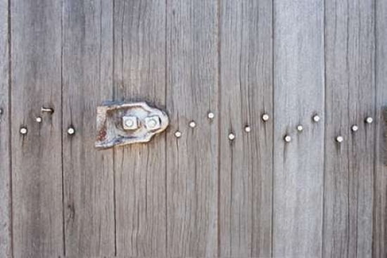 Weathered Wood And