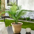 thumbnail image 5 of HC Companies Sierra 10 Inch Round Garden Planter Pot (3 Pack), 5 of 11