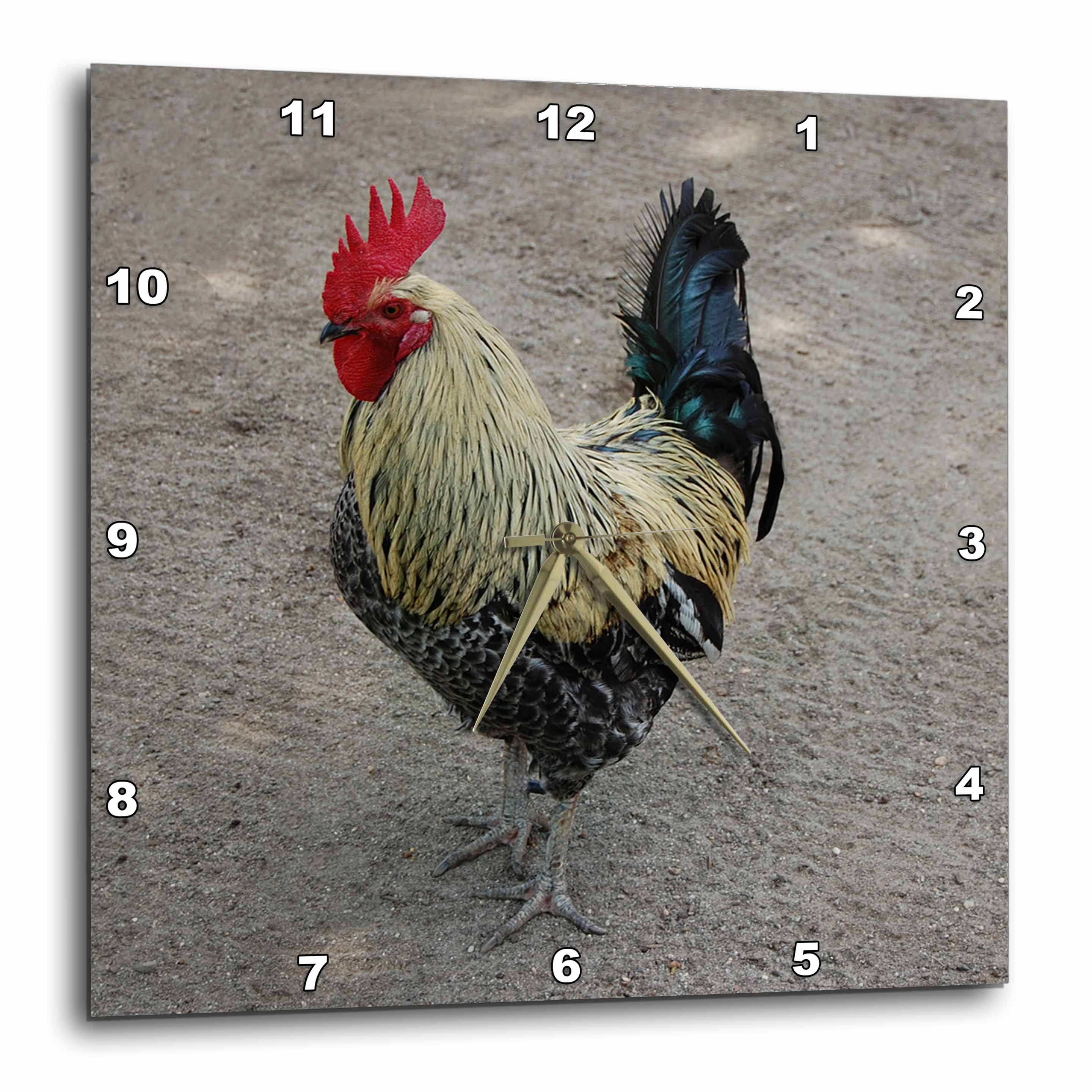 3dRose Rooster Wall Clock, 10 by 10inch