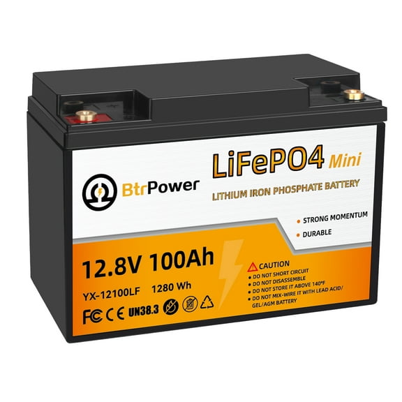 Btrpower 12V 100Ah Group 24 LiFePO4 Lithium Battery for RV Marine Solar System