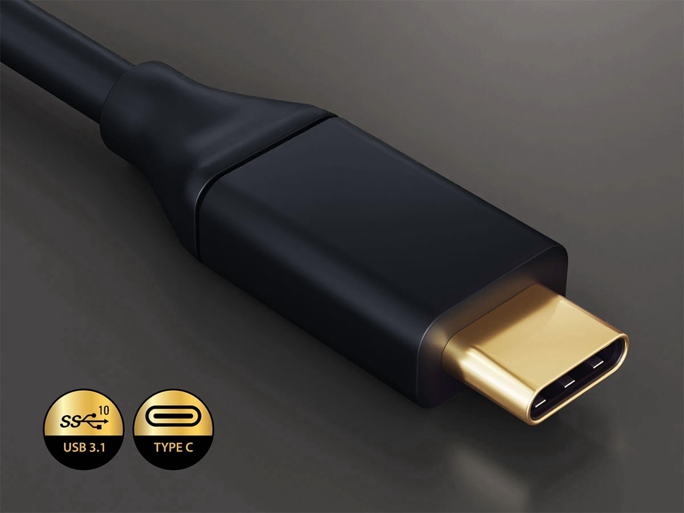 Cable Leader 10ft USB 3.1 Type C to DisplayPort Cable, Male to Male, 4K Support, Black