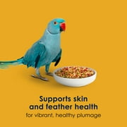 Kaytee Forti-Diet Pro Health Egg-Cite! Nourish+Protect Parakeet Food 5 Pounds