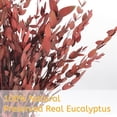 thumbnail image 4 of NOGIS Real Eucalyptus Stems Greenery Decor 16" Dried Willow Eucalyptus Plant Preserved Greenery Stems for Home Vase Filler Wedding Flowers Arrangement Decorations (Red), 4 of 7