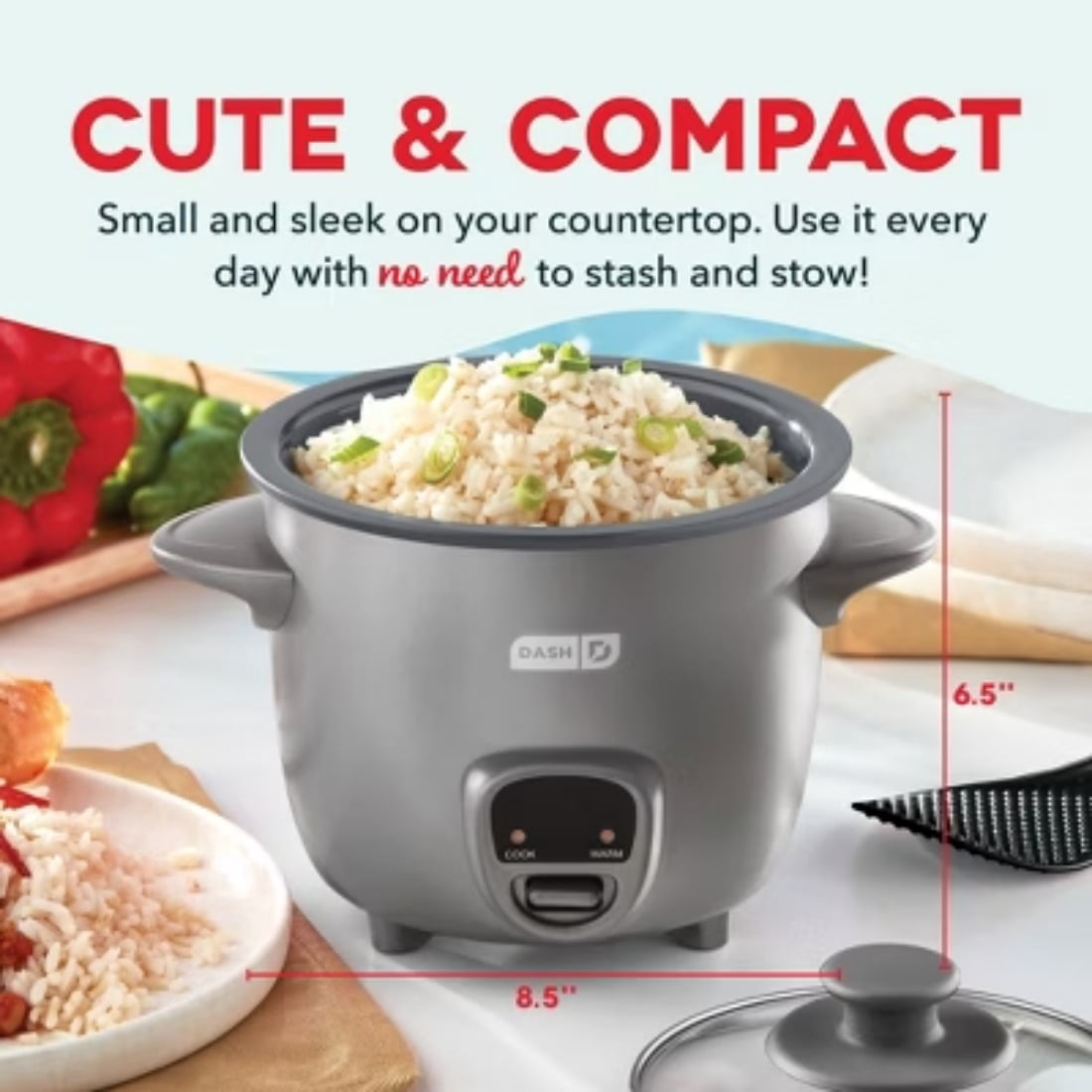 2 - Cup Electric Mini Rice Cooker - Graphite, Automatic Keep Warm, Includes Recipes & Accessories