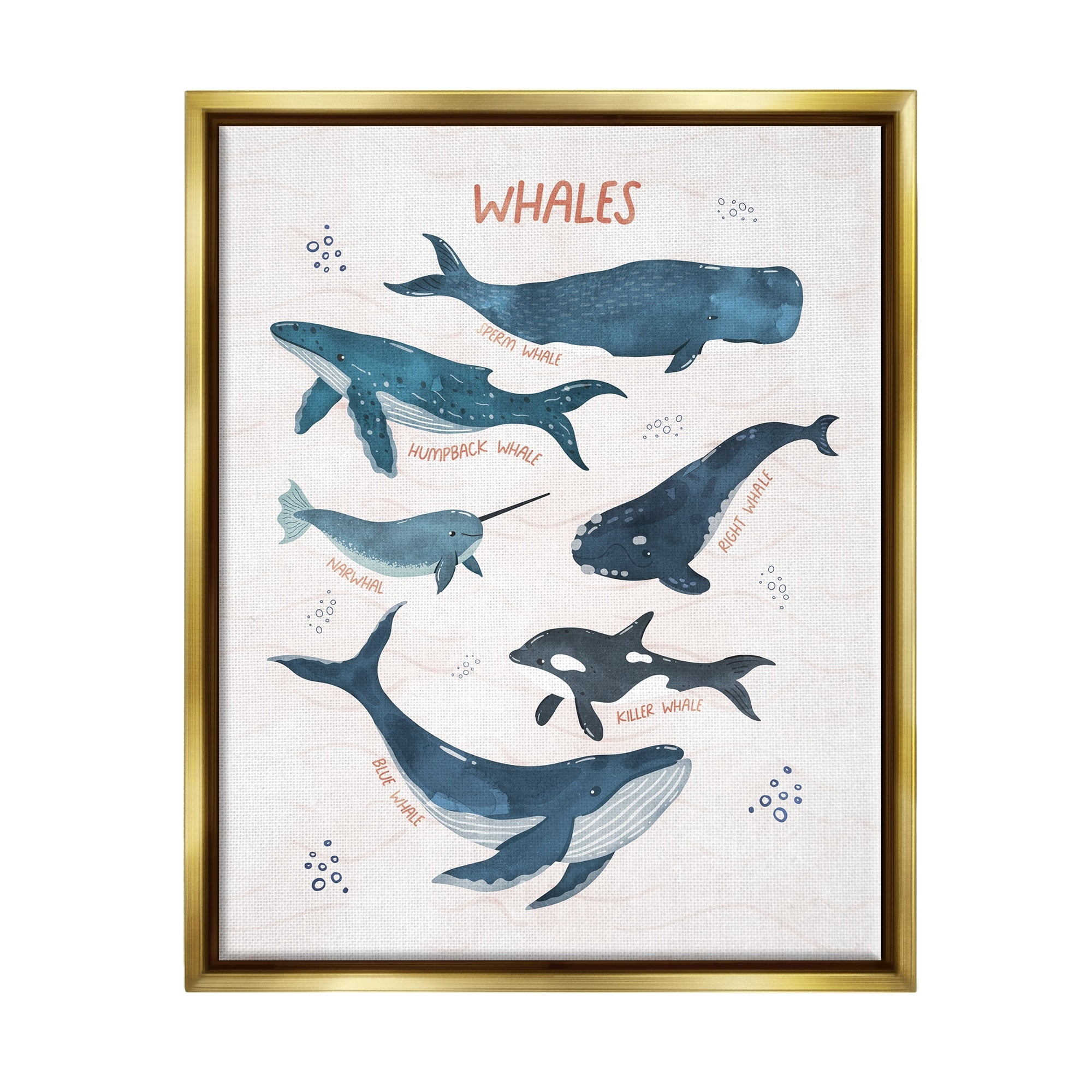 Stupell Industries Nautical Diagram Whale Narwhal Types Bubbles Illustration Metallic Gold Framed Floating Canvas Wall Art, 16x20, by Nina Blue