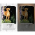 thumbnail image 2 of Caroline's Treasures SS8479CNL Starry Night Rhodesian Ridgeback Ceramic Night Light, 6x4x3", multicolor, 2 of 2