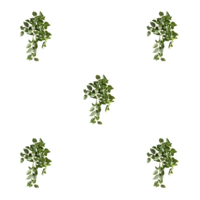 QualitChoice Fake Plants Artificial Plant Flower Simulation Leaf Hanging Wedding Photography Rattan Indoor Bathroom Balcony Green 5PCS