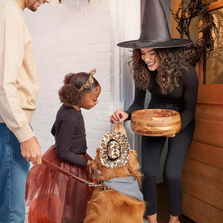 Milk-Bone Spooky Biscuits, Halloween Dog Treats, 24oz Pail