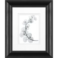thumbnail image 1 of Timeless Frames 55249 8 x 10 in. Eucalyptus Photo Frame, 1 of 1