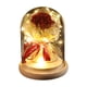 thumbnail image 2 of Farol de Ornamentos de Rosas | Cubierta de vidrio de flores secas inmortales | Luz LED romántica | Regalo de San Valentín Duradero | Marrón Blanco | 6,1x3,35 pulgadas | Cinta decorativa, 2 of 6
