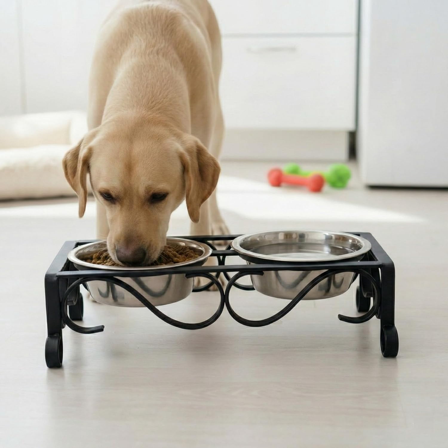 Pets Elevated Dog Bowls – Raised Stainless Steel Dog Bowls with Steel Stand – Non-Skid, No Spill Feeder for Small, Medium & Large Dogs – Easy to Clean, Durable Raised Dog Feeding Station