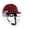 Maroon, variant on Shrey Match 2.0 Cricket Helmet