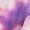 baby clothes01 Purple, variant on Toddler Girl 2T 3T 4T 5T Summer Outfits 2Pcs Clothes Floral Print Short Sleeve Tee Casual Knit Shorts Set Kaprioy
