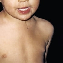 La Paloma - Todavia No - Music & Performance - Vinyl